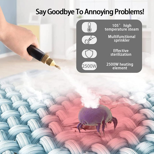2500W Portable Handheld Steam Cleaner High Temperature Steam Cleaning Machine