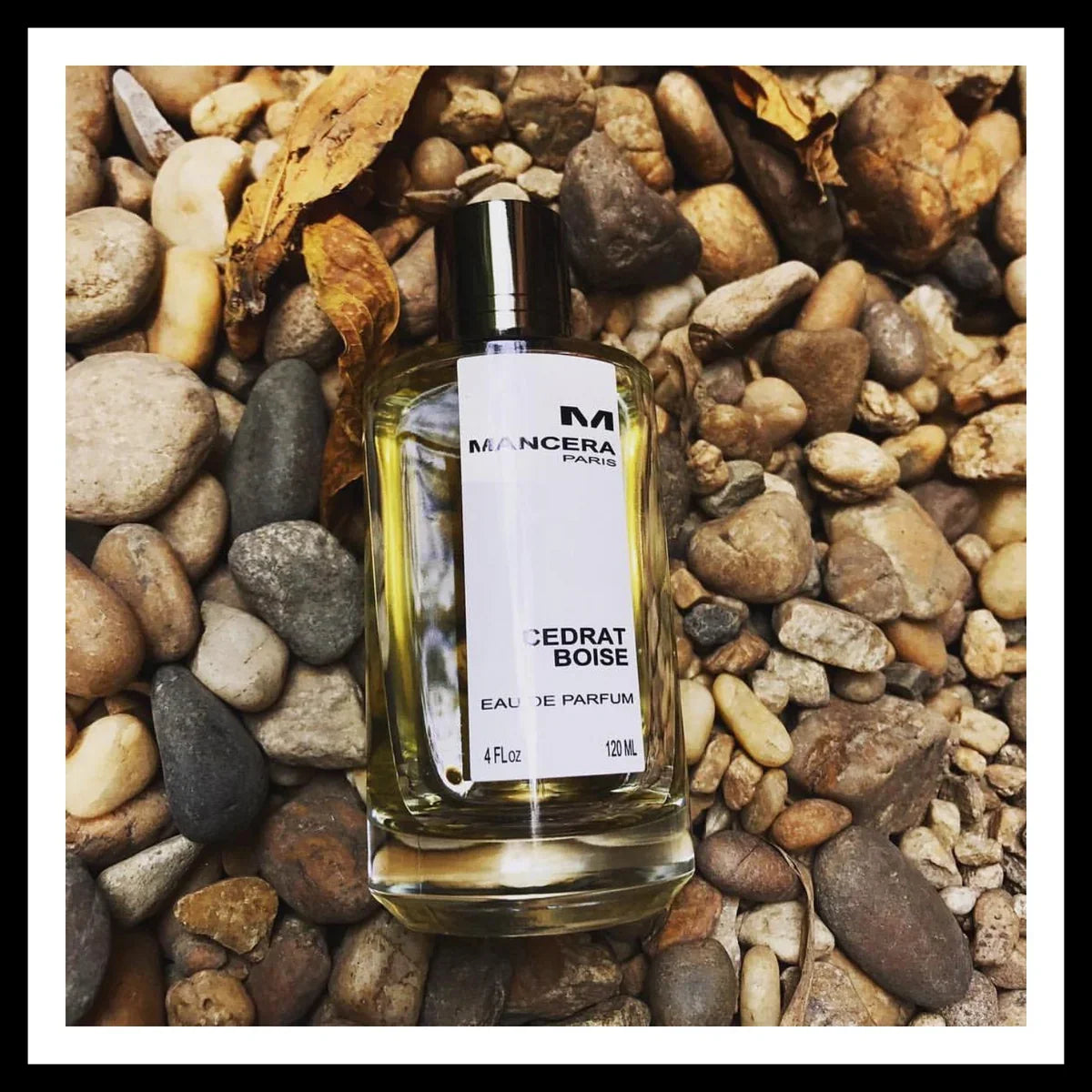 عطر Mancera Cedrat Boise أو دي بارفان للجنسين-120 ml