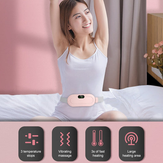Waist Massage Belt